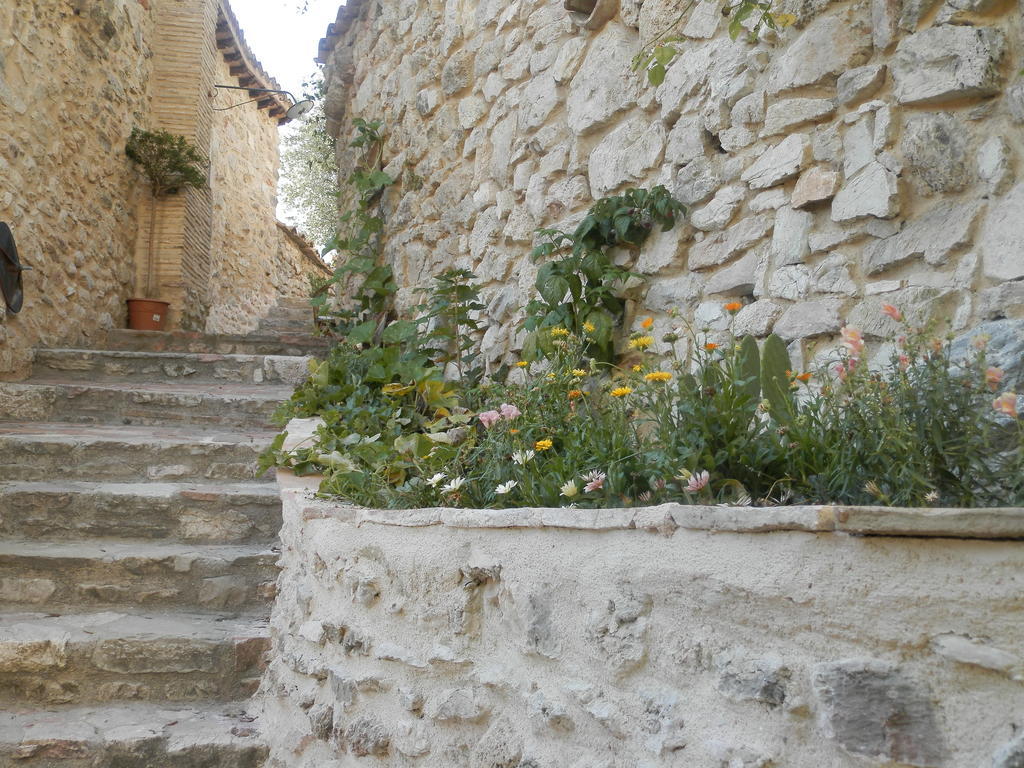 ホテル Residenza Di Paese Castello Del Poggio フェレンティッロ エクステリア 写真