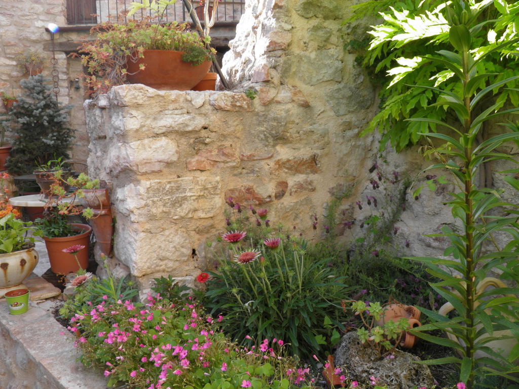 ホテル Residenza Di Paese Castello Del Poggio フェレンティッロ エクステリア 写真