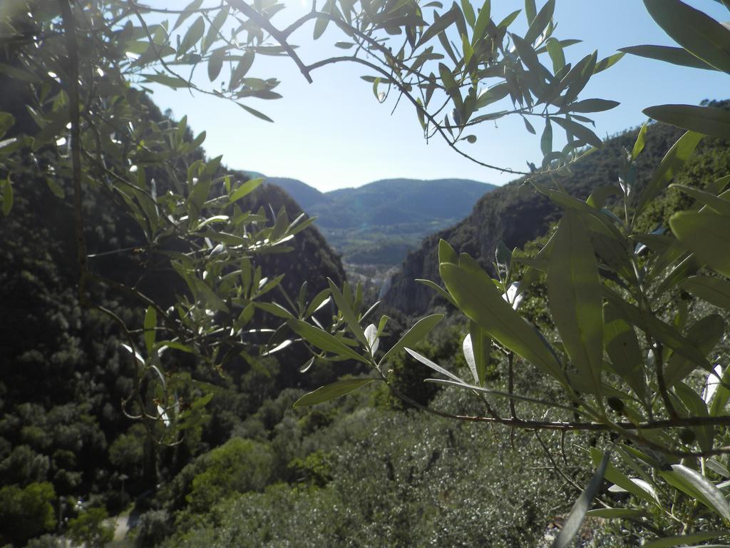 ホテル Residenza Di Paese Castello Del Poggio フェレンティッロ エクステリア 写真