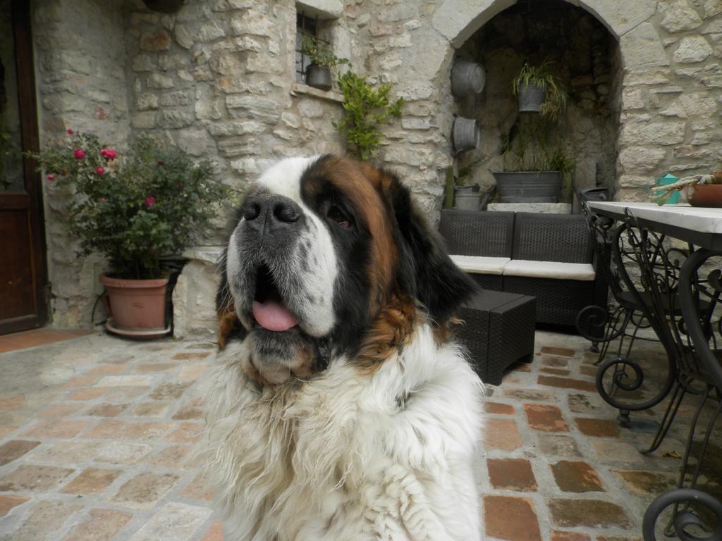 ホテル Residenza Di Paese Castello Del Poggio フェレンティッロ エクステリア 写真