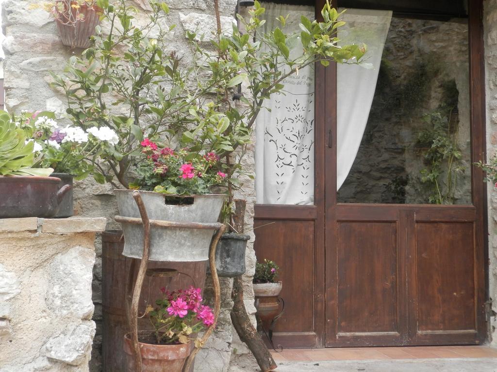 ホテル Residenza Di Paese Castello Del Poggio フェレンティッロ エクステリア 写真